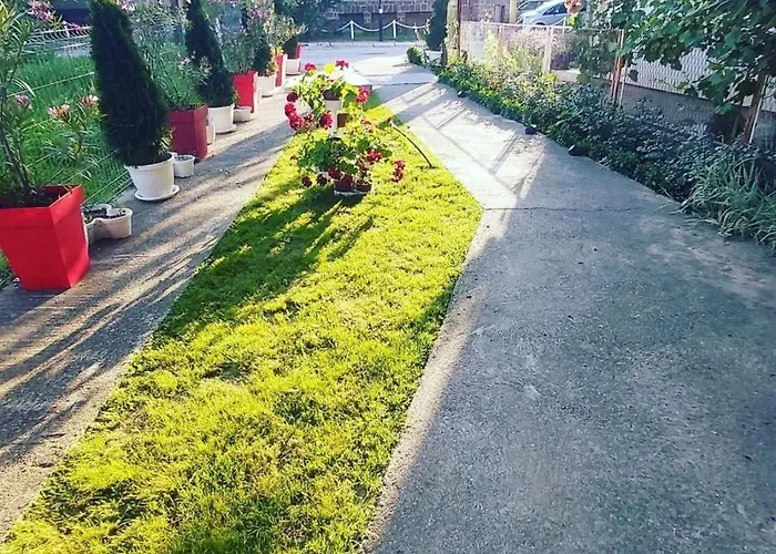 Διαμέρισμα Mis Br.6 *